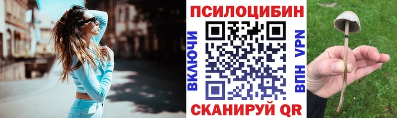 hydra сайт  Кинешма  Галлюциногенные грибы Psilocybe  купить  