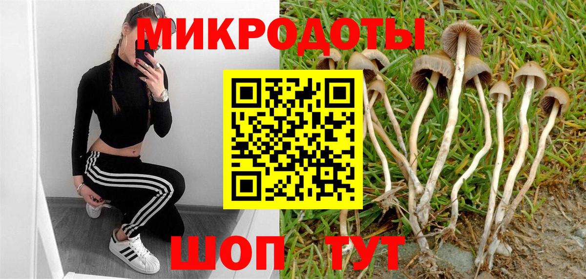Галлюциногенные грибы GOLDEN TEACHER  Псилоцибиновые грибы Magic Shrooms  Вход с VPN  Кинешма 
