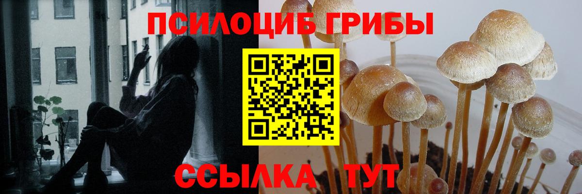 ГЕРОИН Кинешма