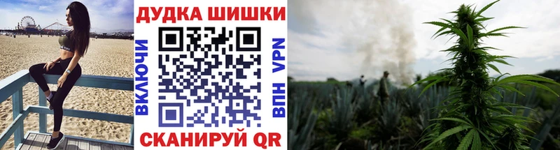 ОМГ ОМГ онион  купить наркотик  Кинешма  Бошки Шишки сатива 